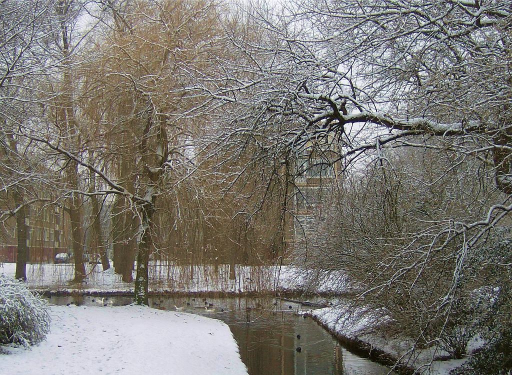 Beethovenvijver - Amsterdam