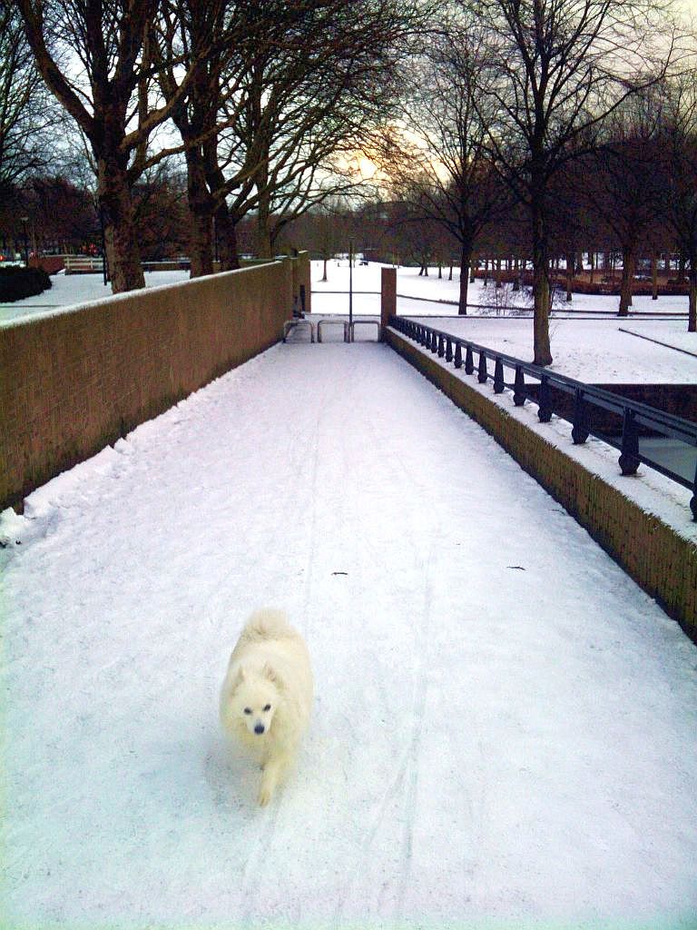 Erasmuspark - Amsterdam