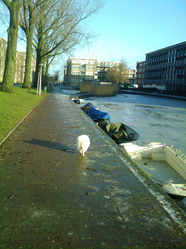 Erasmusgracht - Amsterdam