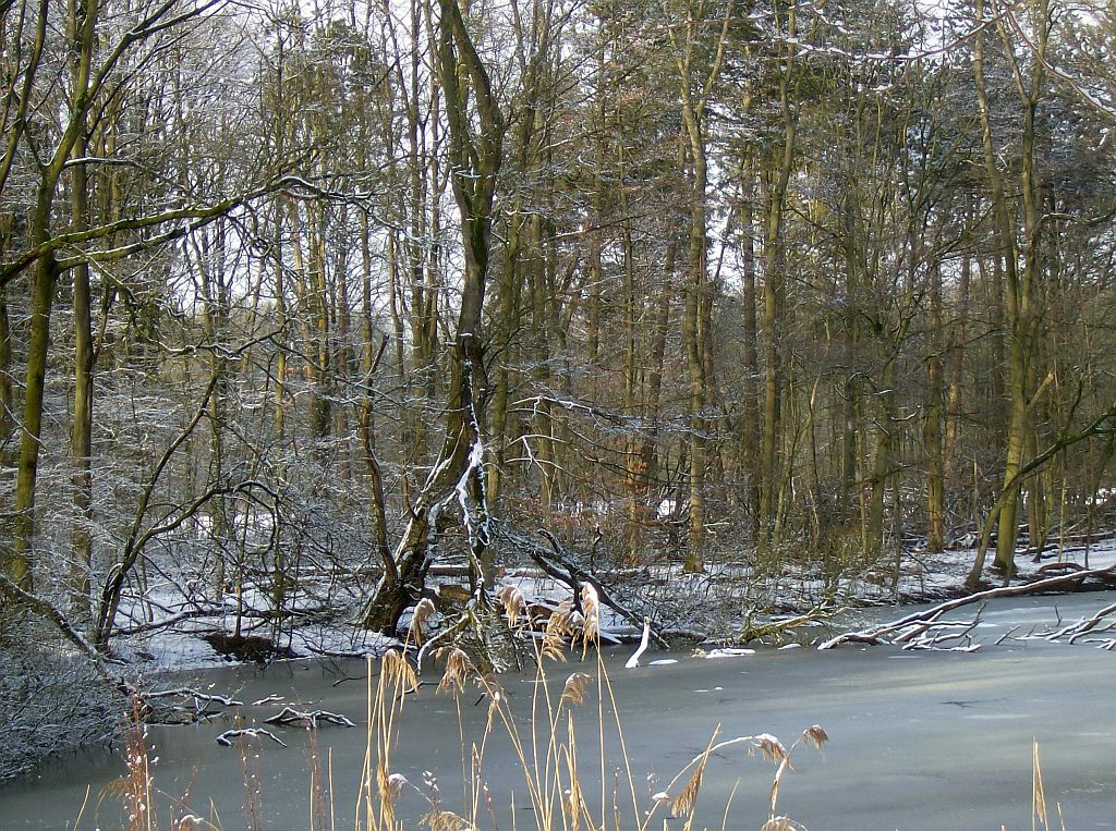 Singel vanaf Brug 569 - Amsterdam