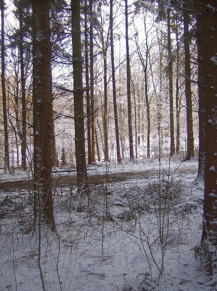 De Heuvel - Amsterdam