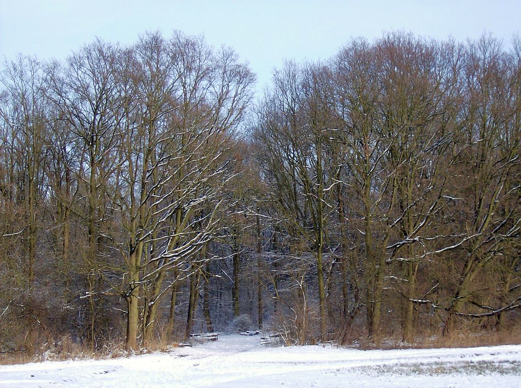 Achter de ringen - Amsterdam