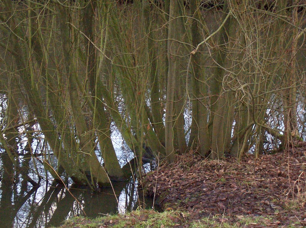 Veenpaadje tussen Brug 530 en Brug 531 - Amsterdam