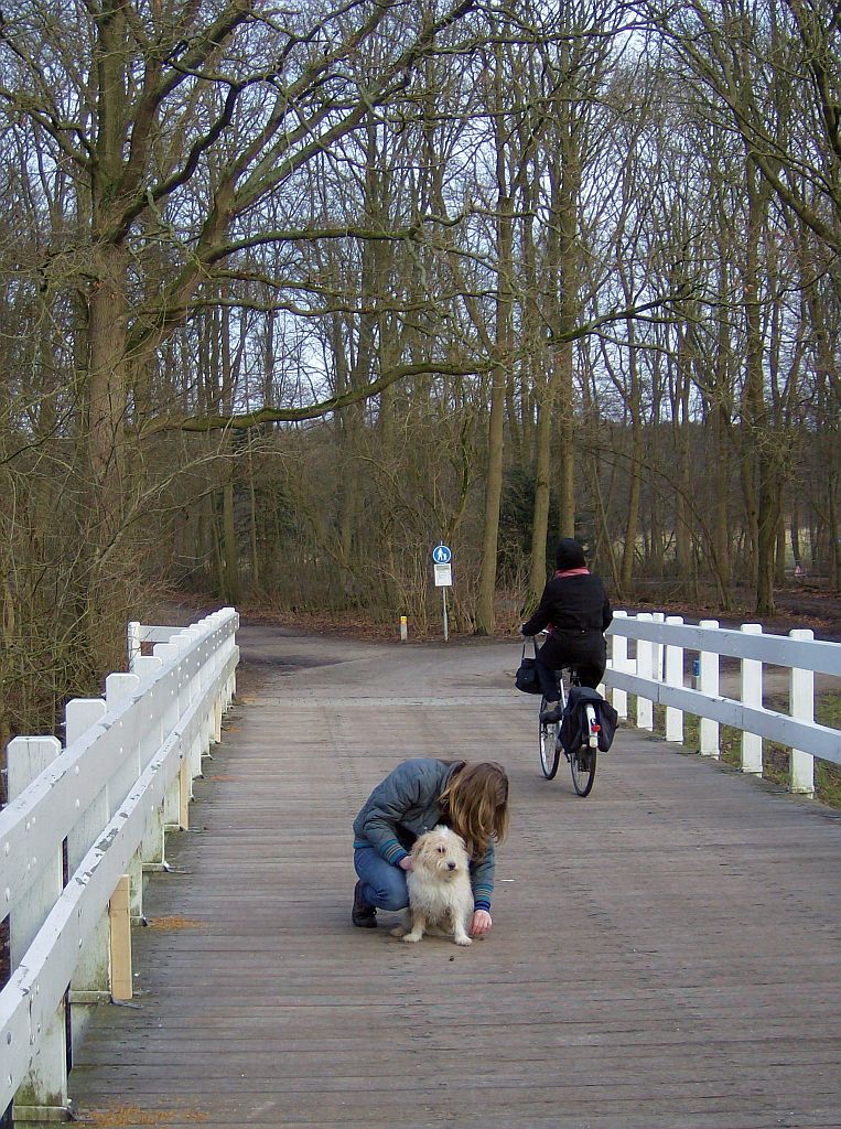 Brug 553 - Amsterdam