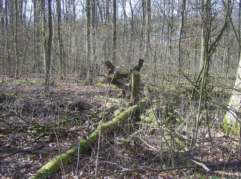 Pad tussen Brug 550 en Brug 549 - Amsterdam