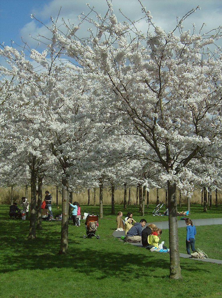 Bloesempark - Amsterdam
