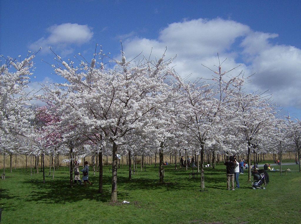 Bloesempark - Amsterdam