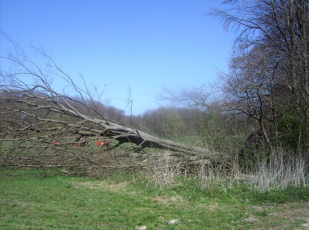 Noordweide - Amsterdam