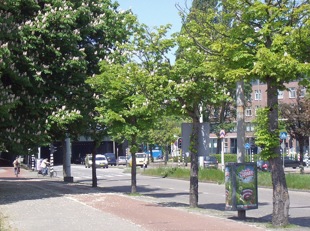 Wibautstraat - Spoorwegviaduct - Amsterdam