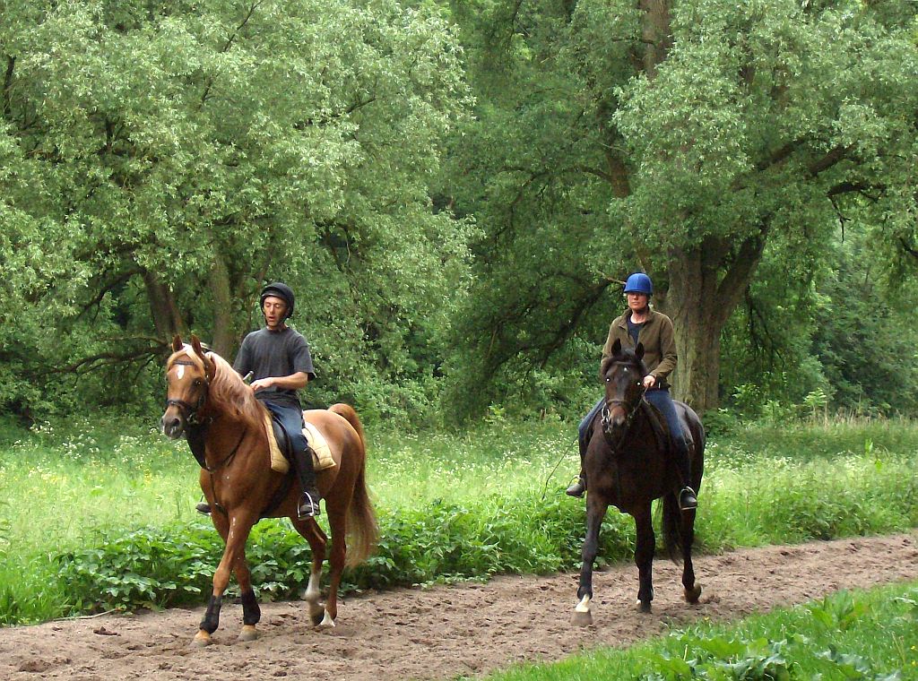 Tussen Brug 544 en Brug 543 - Amsterdam
