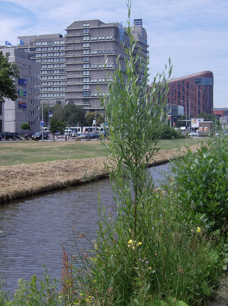 De Boelegracht - Amsterdam