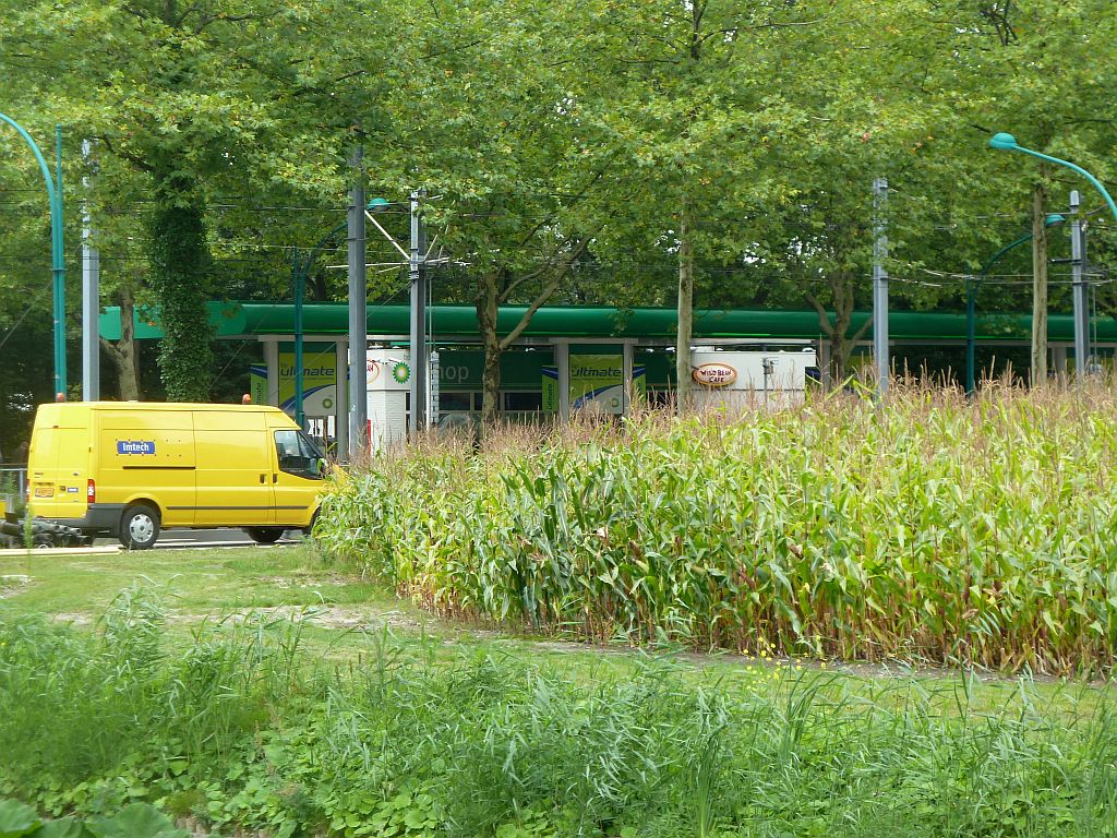 Buitenveldertselaan - Maisdoolhof - Amsterdam