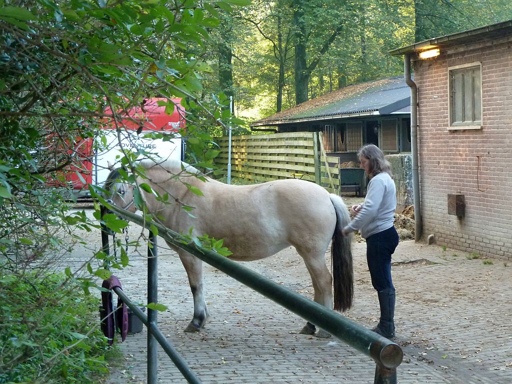 De Amsterdamse Manege - Amsterdam