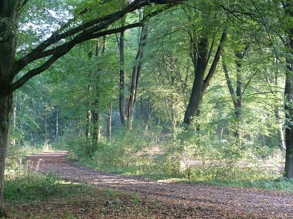 De Arena - Amsterdam