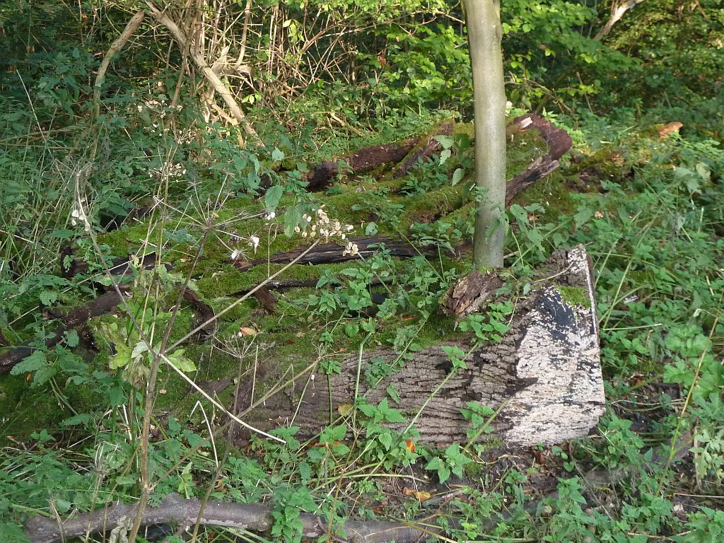 Tussen Brug 544 en Brug 543 - Amsterdam