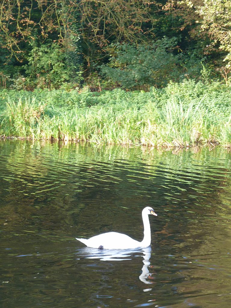 Landscheidingsvaart - Amsterdam