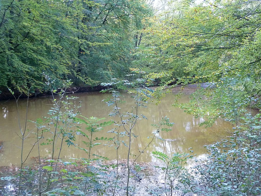 De Kleine Vijver - Amsterdam