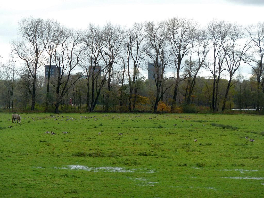 Polder Meerzicht - Amsterdam