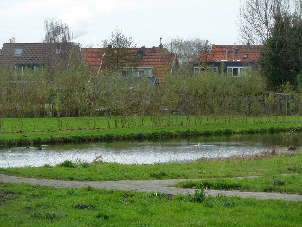 Kadoelenweg (achterzijde) - Amsterdam