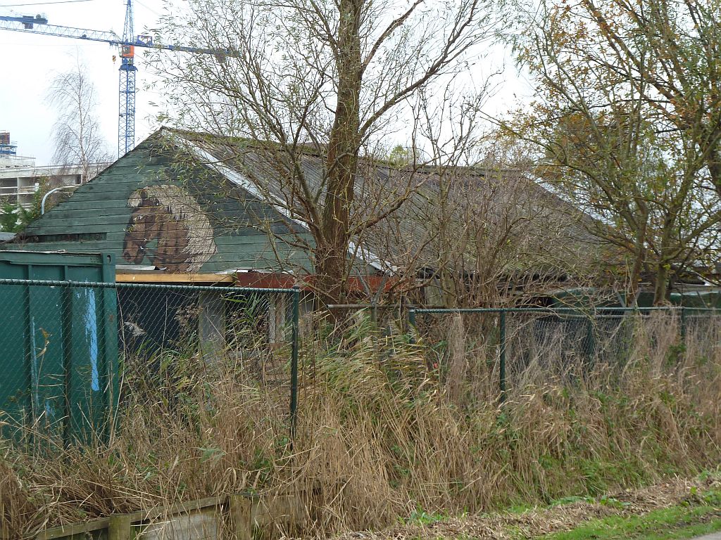 Vikingpad Maneges - Floradorp Ranch - Amsterdam