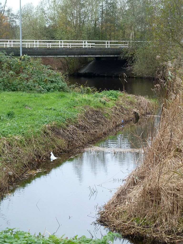 IJdoornlaan - Amsterdam