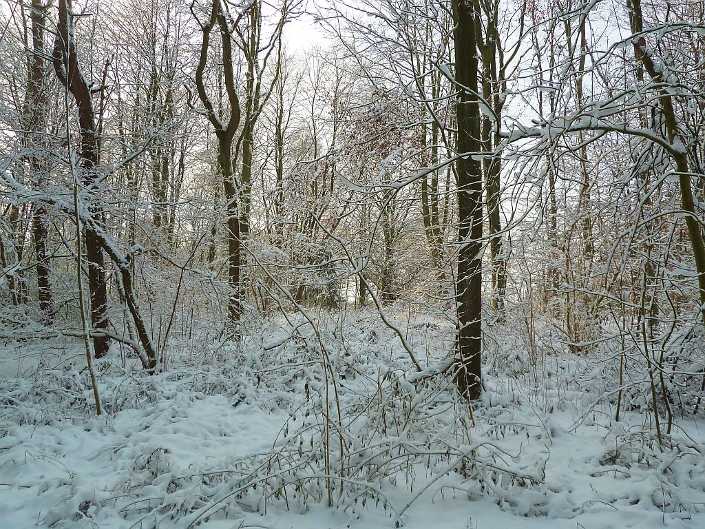 De Heuvel - Amsterdam