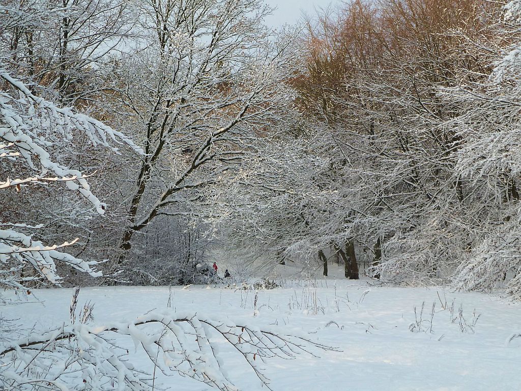 De Heuvel - Amsterdam