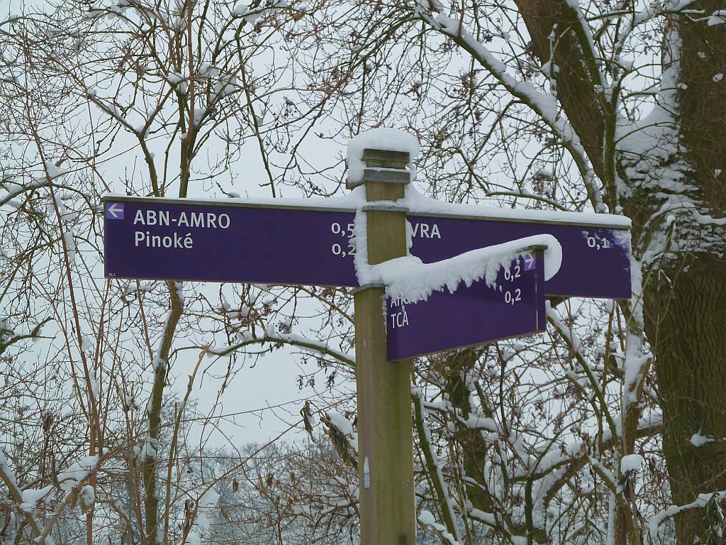 Sportpark Nieuwe Kalfjeslaan - Amsterdam