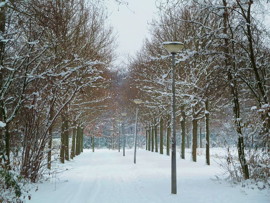 Sportpark Nieuwe Kalfjeslaan - Amsterdam