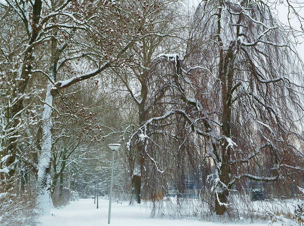 Sportpark Nieuwe Kalfjeslaan - Amsterdam
