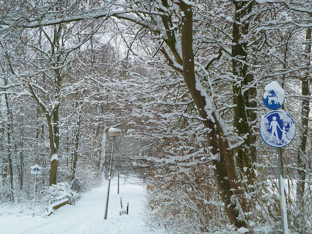 Sportpark Nieuwe Kalfjeslaan - Amsterdam