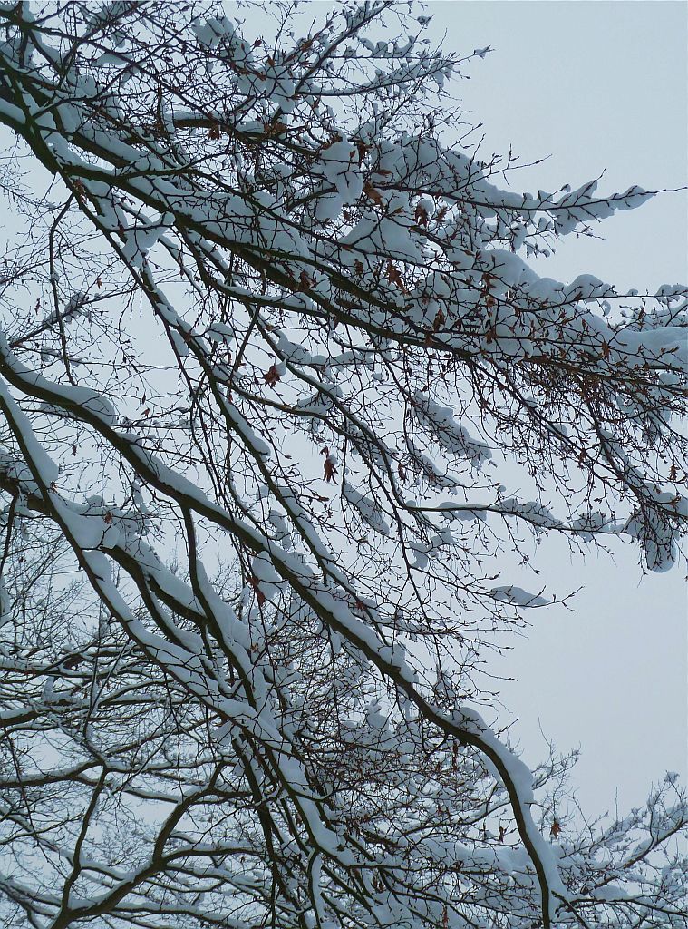 Parkeerterrein Emmakade - Amsterdam