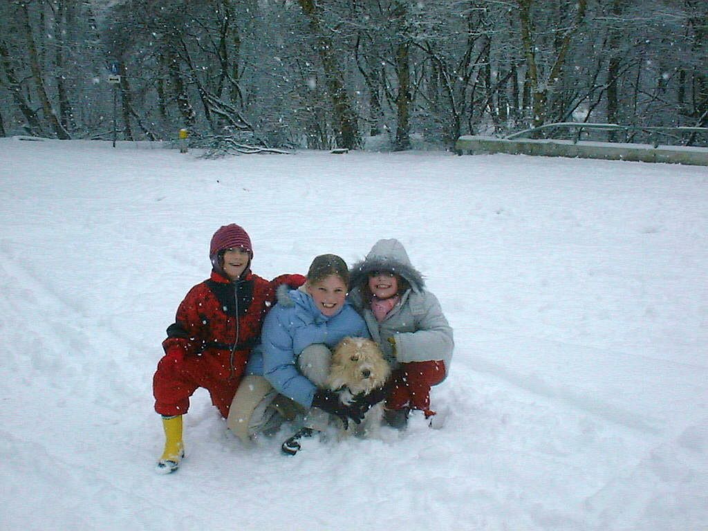 Brug 551 - Amsterdam