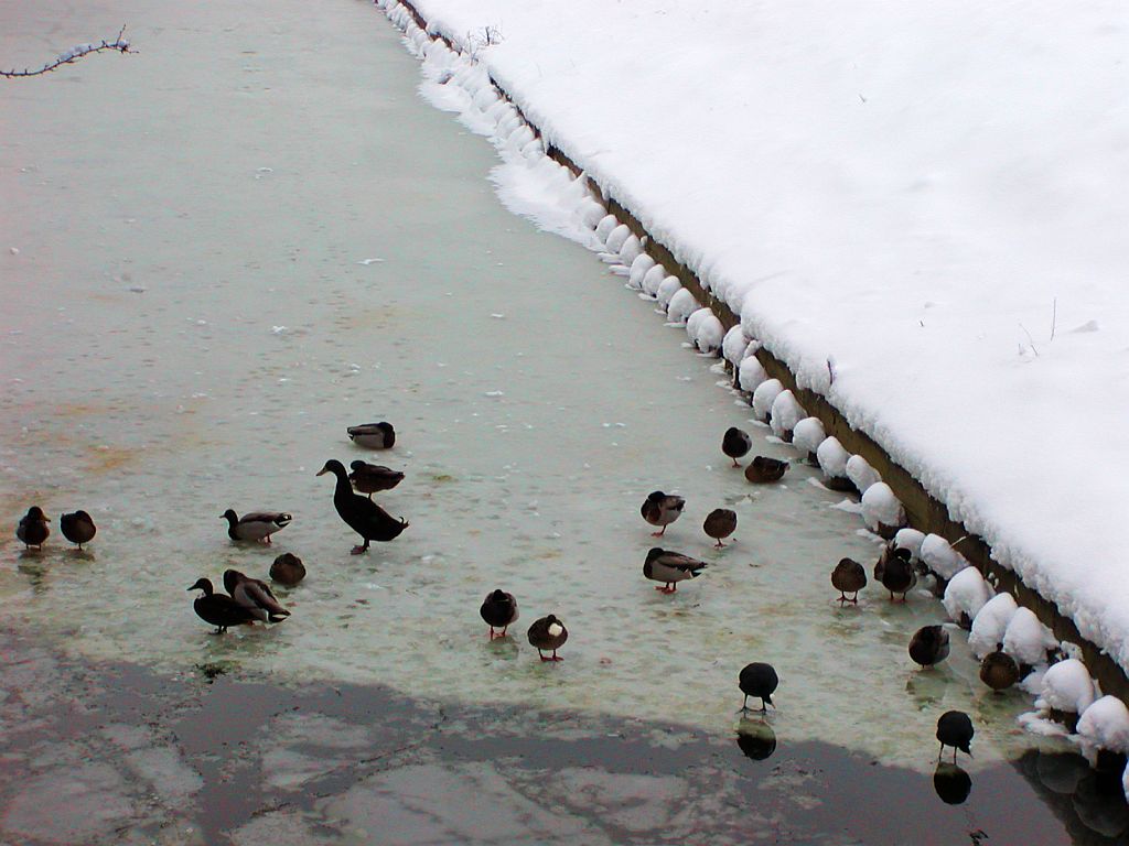 Hoornsloot - Amsterdam