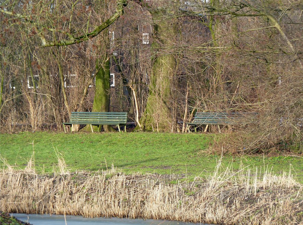 Sportpark Nieuwe Kalfjeslaan - Amsterdam