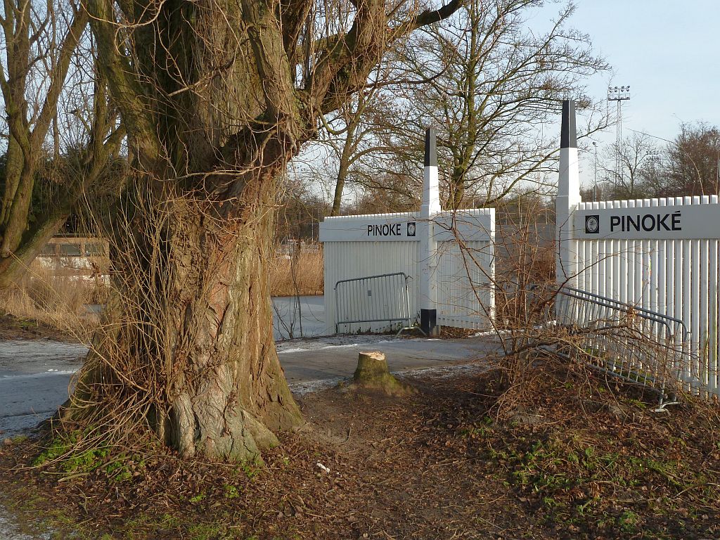 Pinoke - Amsterdam