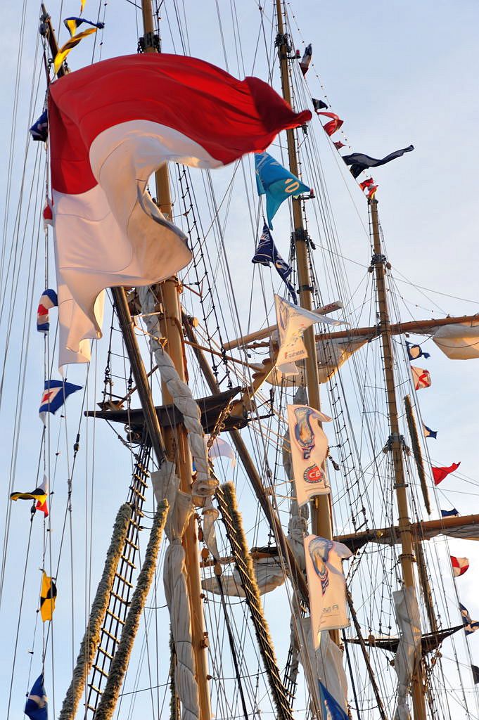 Sail 2010 - Dewaruci - Amsterdam