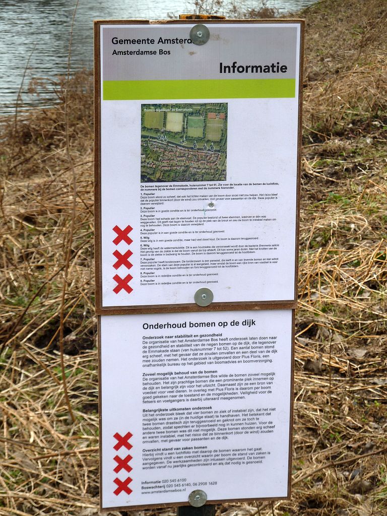 De Bomen op de Dijk - Amsterdam