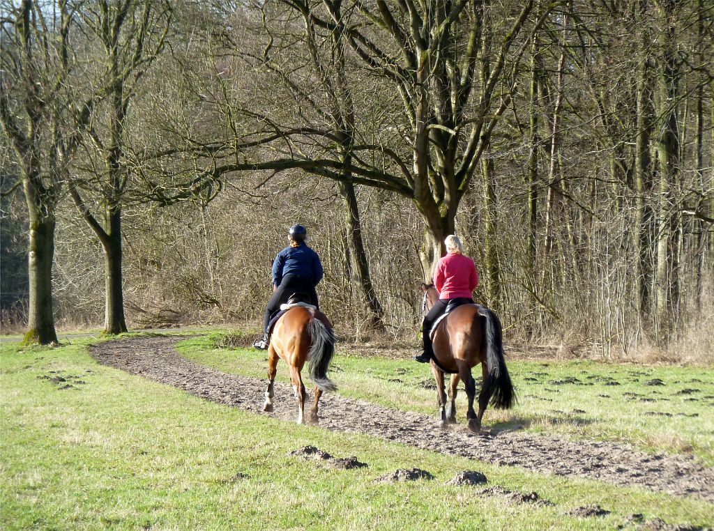 Paardenpicknick - Amsterdam