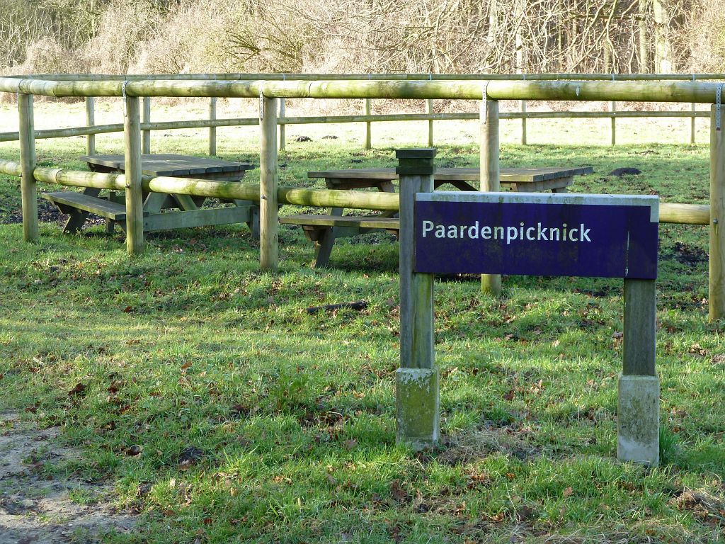 Paardenpicknick - Amsterdam