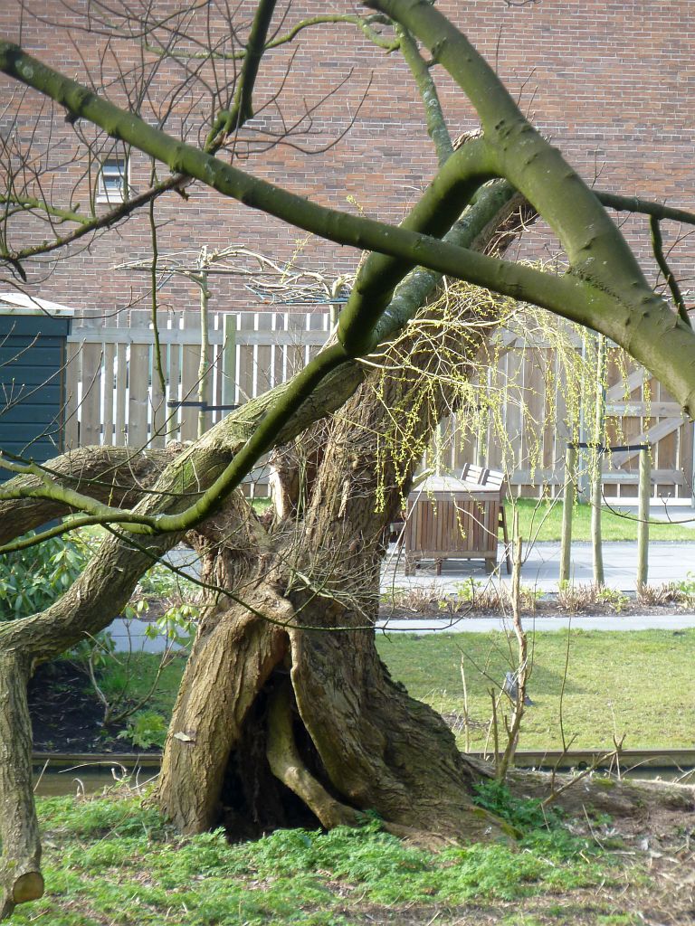 Begraafplaats Huis Te Vraag - Amsterdam