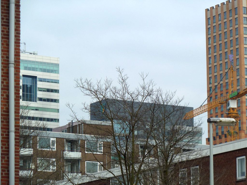 Asingaborg - Amsterdam