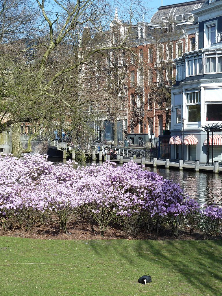 Leidsebosjes - Singelgracht - Amsterdam