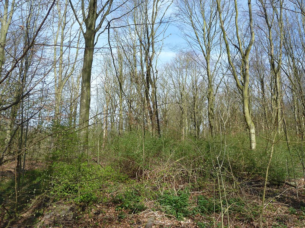 De Heuvel - Amsterdam