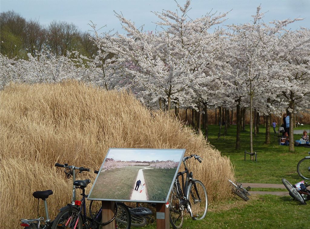 Fototentoonstelling Terugkeer - Amsterdam