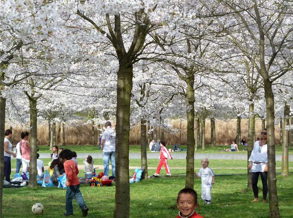 Bloesempark - Amsterdam