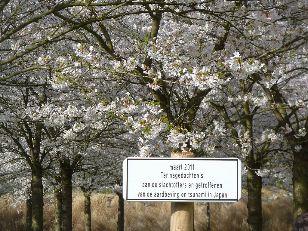 Bloesempark -Tsunami Monument - Amsterdam