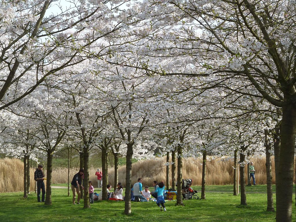 Bloesempark - Amsterdam