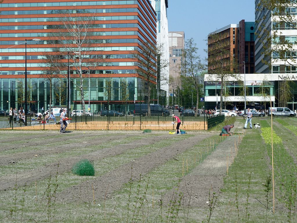 Tijdelijk Park Zuidas - Amsterdam