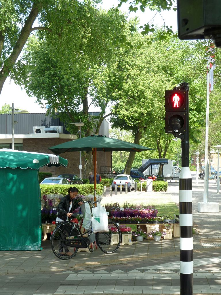 Apollolaan - Hoek Breitnerstraat - Amsterdam